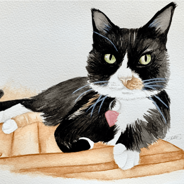 Hand painted cat portrait